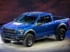 2016 Ford F 150 raptor